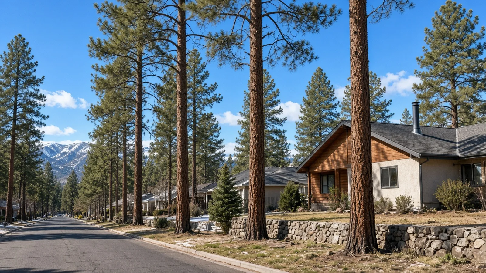 Flagstaff snow-country pines and housing in Coconino County