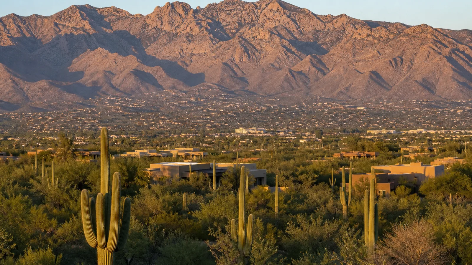 Catalina Mountains rising above Tucson-area desert homes in clear dry light